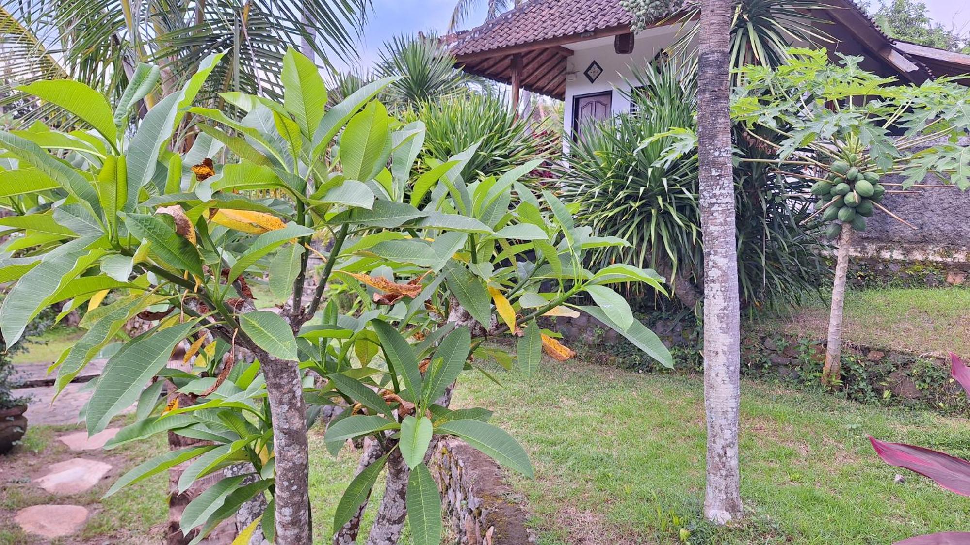 Frangipani Inn & Restaurant Seraya المظهر الخارجي الصورة